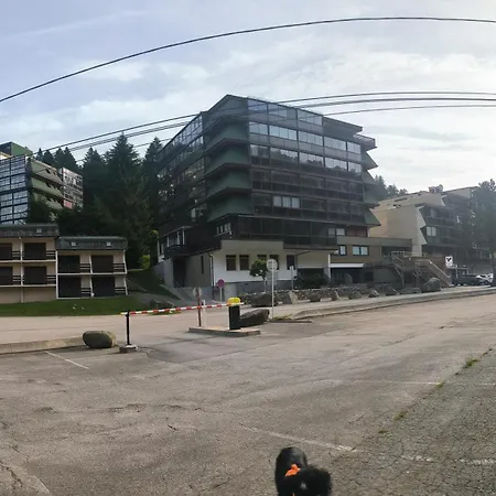 Apartamento La Bulle Des Sapins *