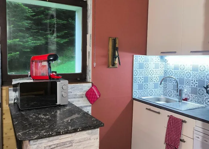 La Bulle Des Sapins La Bresse